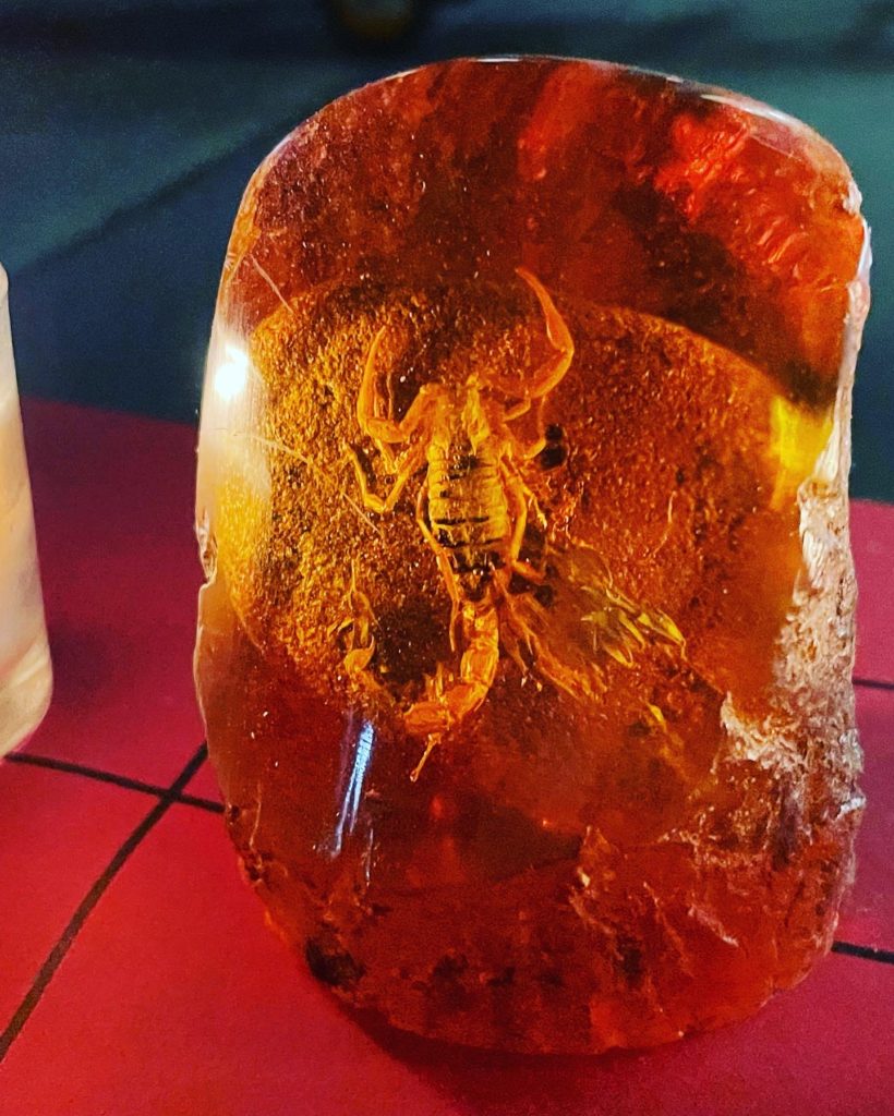 Image for choice number 20